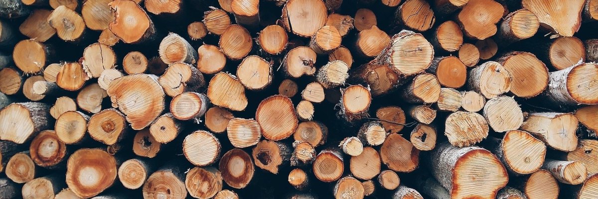 Holz / Baumstämme