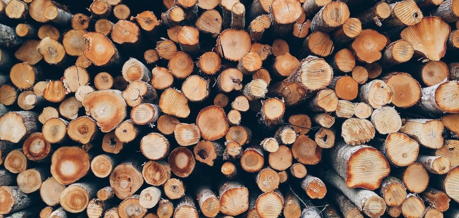 Holz / Baumstämme
